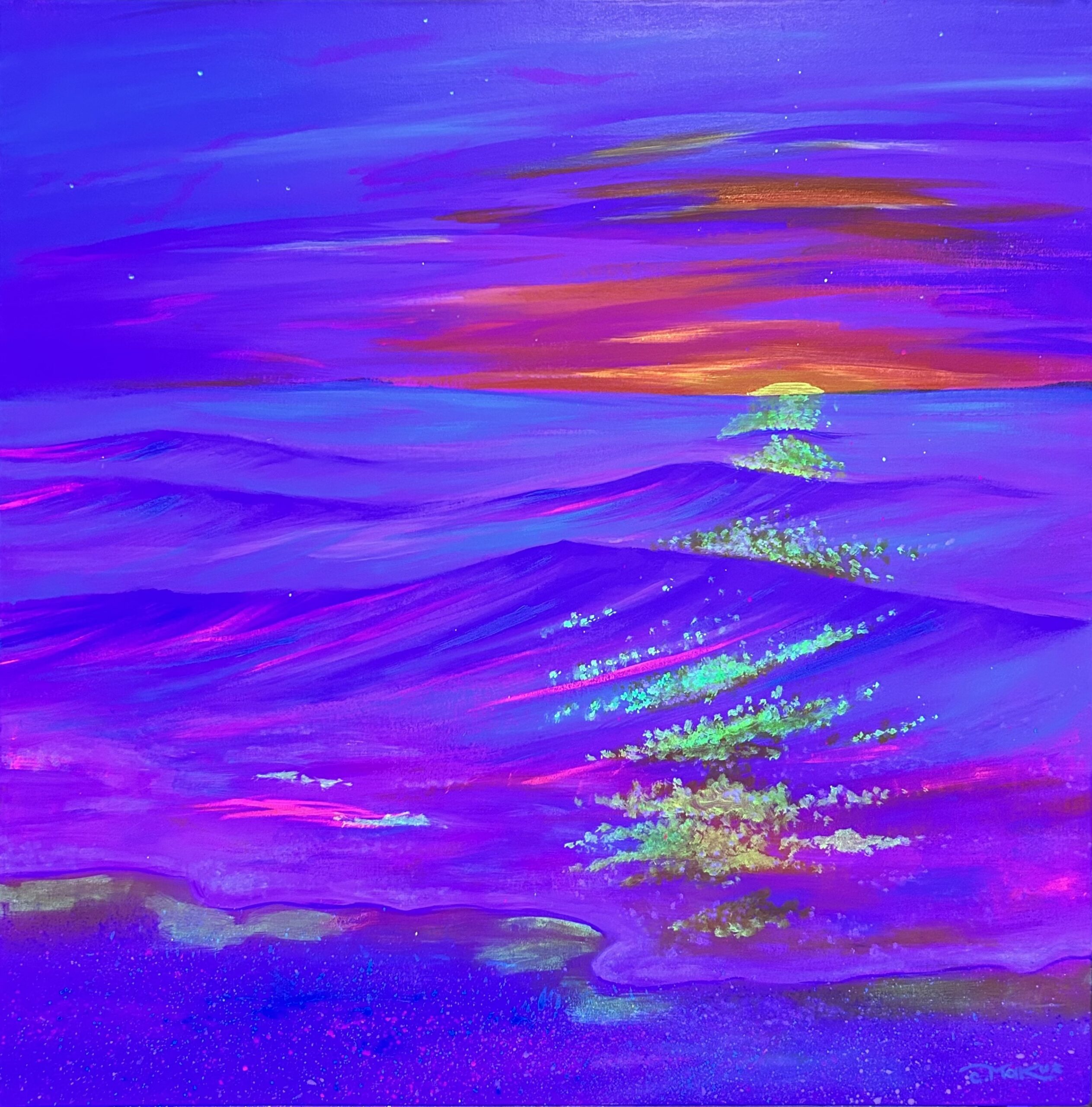 SALTITO CUANTICO ✦ 70cm x 70cm ✦ $9999